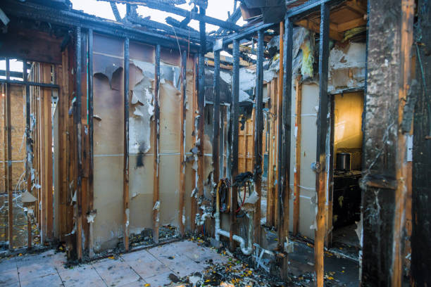 Professional Fire Damage Removal technician working in DeForest, WI
